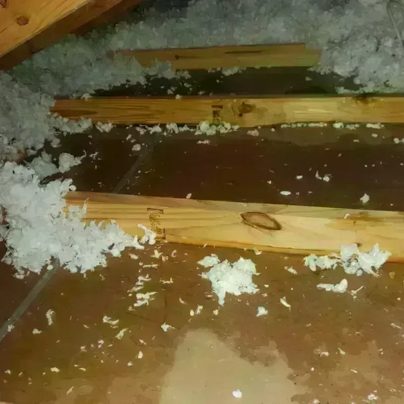 Attic Water Damage in Ridge, NY